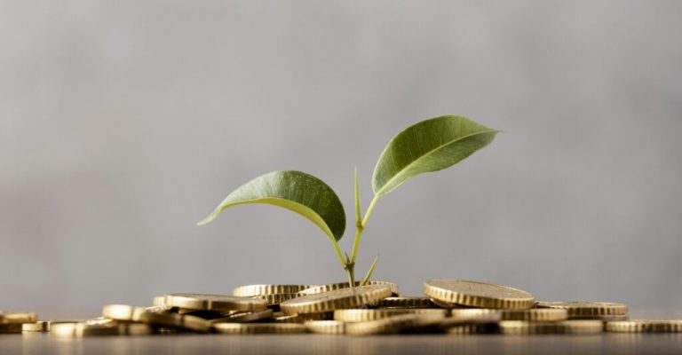 front-view-plant-growing-from-golden-coins-1024x576